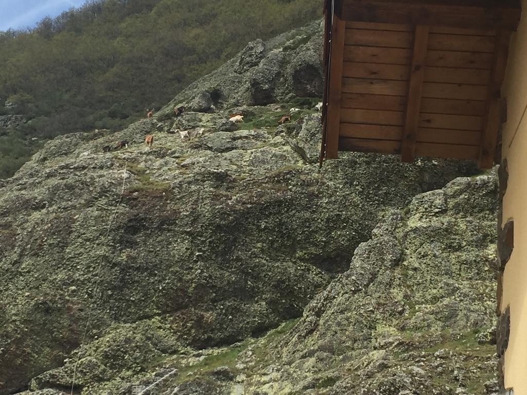 El Invernal De Picos Portilla de la Reina Exterior photo